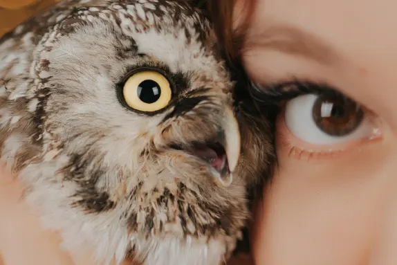 카지노 로열 위너 지원